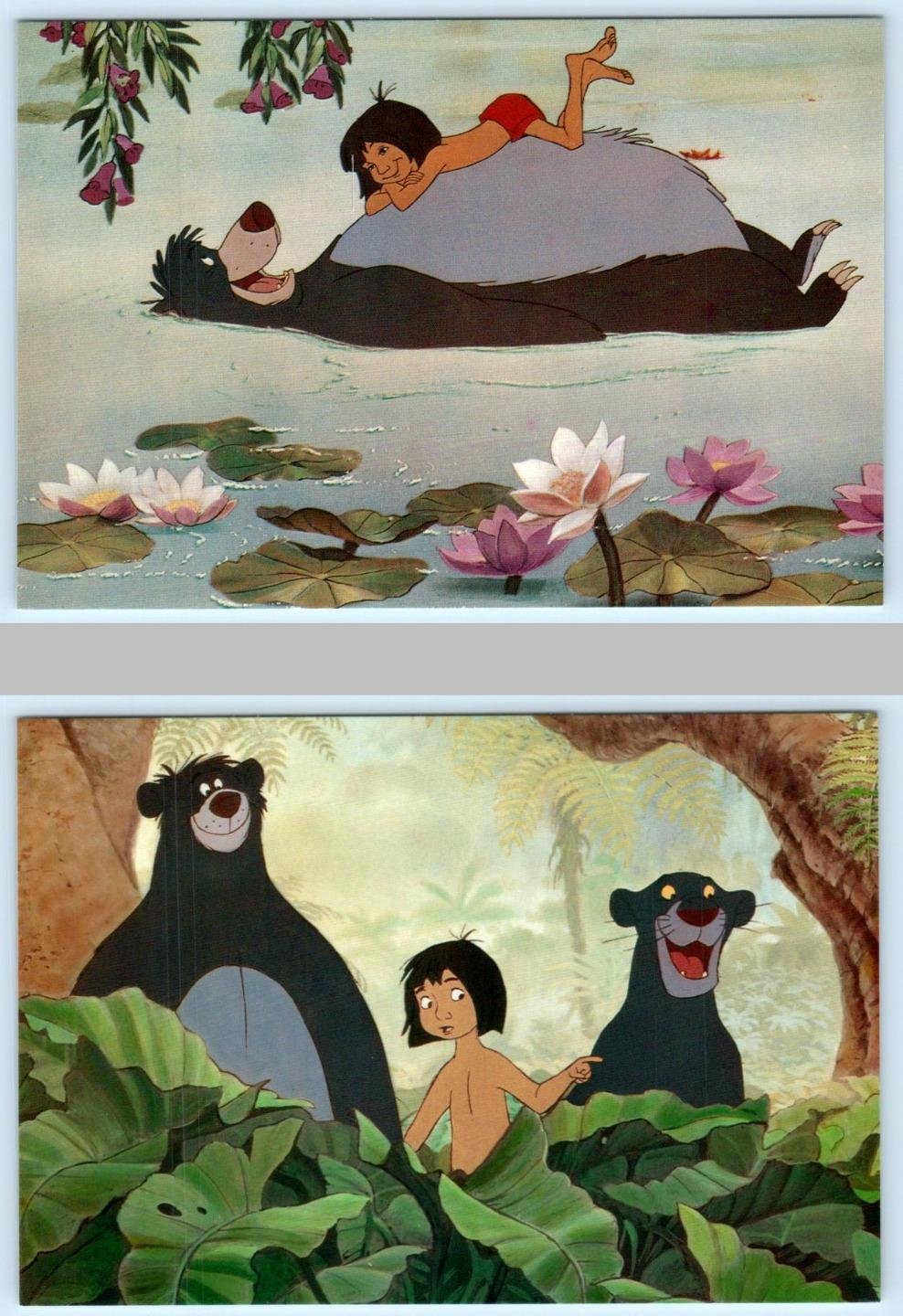 Baloo in Modern Live-Action Jungle Book Adaptations Depicting the Bear